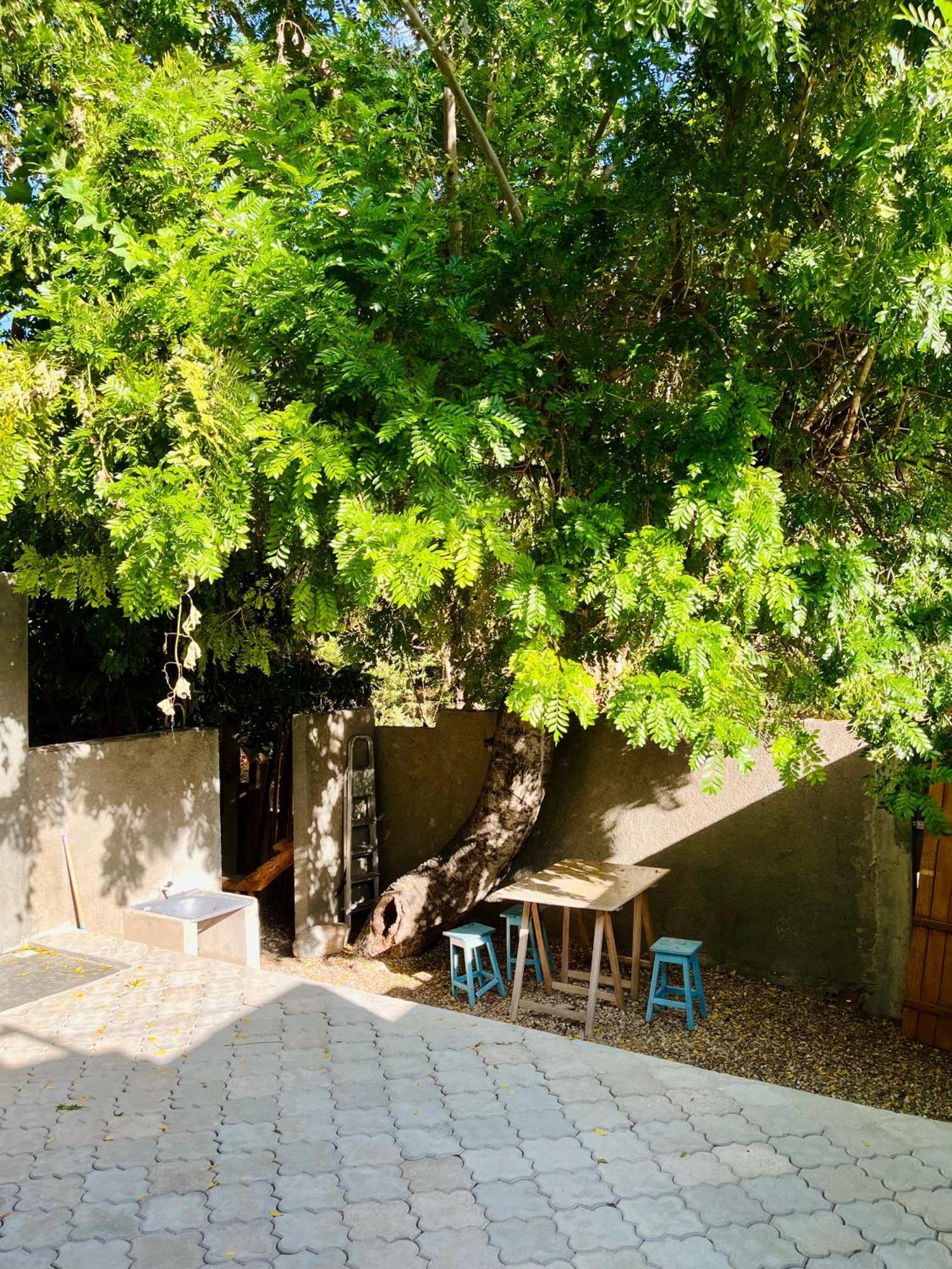 Casinha Flor, Vila Florescer, Centro Historico! Piranhas  Dış mekan fotoğraf